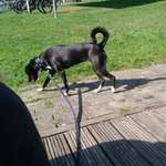 Ersteller:in Stefanie Profilbild