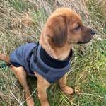 Ersteller:in Gea Profilbild