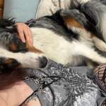 Ersteller:in Leonie Profilbild