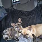 Ersteller:in andrea Profilbild