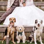 Ersteller:in Lisa Profilbild