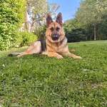 Ersteller:in CoD Profilbild