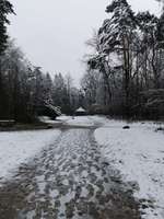 Hundeauslaufgebiet-Volkspark/August-Kirch-Straße-Bild