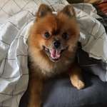 Ersteller:in Arta Profilbild