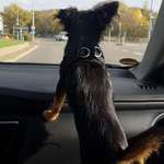 Ersteller:in Olja Profilbild