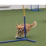 Ersteller:in Claudia Profilbild