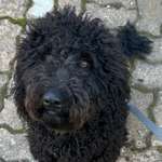 Ersteller:in Madlin Profilbild