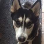 Ersteller:in Sandra Profilbild