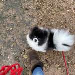 Ersteller:in Vanessa Profilbild