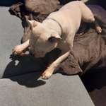 Ersteller:in Maria Phoenix Profilbild