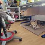 Ersteller:in Ulrike Profilbild