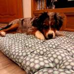 Ersteller:in Emily Profilbild