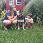 Ersteller:in Vanessa Profilbild