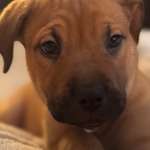 Ersteller:in Nuray Profilbild