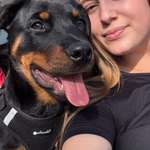 Ersteller:in Laura Profilbild