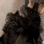 Epilepsie-Beitrag-Bild