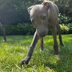 Ersteller:in Philip Profilbild