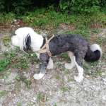 Ersteller:in Sigrid Profilbild