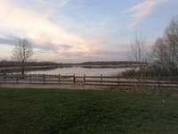 Hundeauslaufgebiet-Biedermeierstrand-Bild