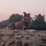 Ersteller:in J Profilbild