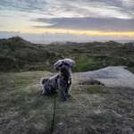 Ersteller:in Kristina Profilbild