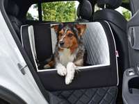 Autositz für mittelgroßen Hund-Beitrag-Bild
