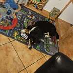 Ersteller:in Sa Profilbild