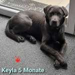 Ersteller:in Meli Profilbild