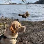 Ersteller:in Dominik Profilbild