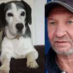 Ersteller:in Wolfgang Profilbild