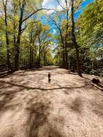 Hundeauslaufgebiet-Grunewald West-Bild