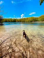 Hundeauslaufgebiet-Grunewaldsee-Bild