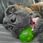 Ersteller:in Oxana Profilbild