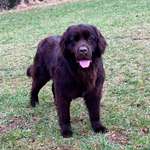 Ersteller:in Johanna Profilbild