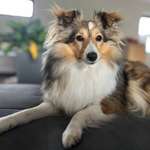 Ersteller:in Janina Profilbild