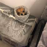 Ersteller:in Jasmin Profilbild