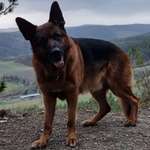 Ersteller:in Ruck Profilbild