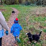 Hundeauslaufgebiet-Obstwiese Wunstorf-Bild