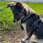 Ersteller:in Ann-christin Profilbild