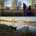 Urlaub in Schweden  mit Hund-Beitrag-Bild