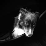 Ersteller:in Miriam Profilbild