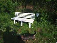 Hundeauslaufgebiet-Am Leimer Weg-Bild