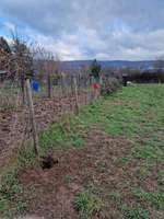 Hundeauslaufgebiet-Am Leimer Weg-Bild