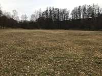 Hundeauslaufgebiet-Wellingsbüttler Landstraße West-Bild