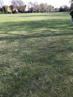 Hundeauslaufgebiet-Am Ohlmoorgraben-Bild