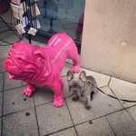 Ersteller:in Julia Profilbild