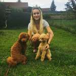 Ersteller:in Jessi Profilbild