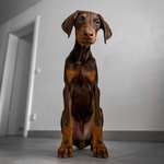 Ersteller:in Kate & Angy Profilbild