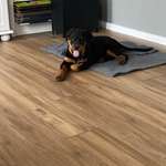 Ersteller:in Claus Profilbild