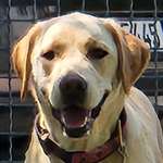 Ersteller:in Nicole Profilbild